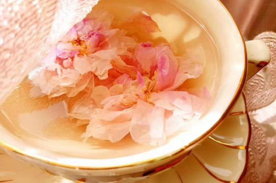 玫瑰花茶一周喝幾次，玫瑰花茶可以天天喝嗎？