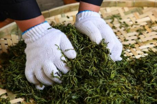 綠茶加工工藝流程圖，綠茶的加工制作包含哪幾個步驟？