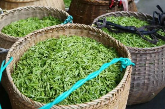 茶葉怎么炒制才香，怎樣炒茶葉更香？