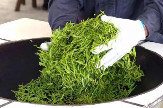 自家炒茶葉怎么炒，自己炒茶葉的步驟