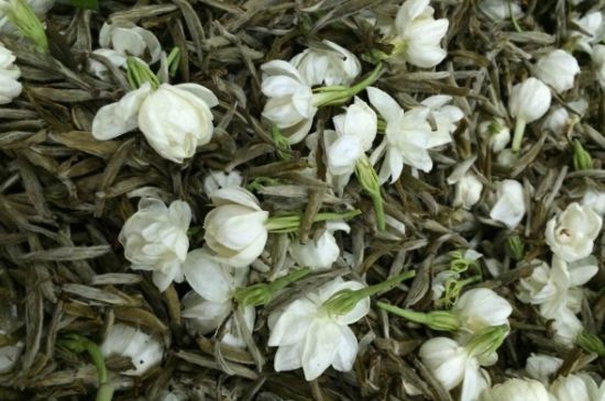 茉莉銀針口感，茉莉銀針是什么味道？