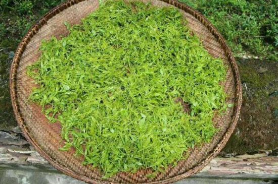 茅巖莓茶加工工藝，莓茶的工藝制作過程