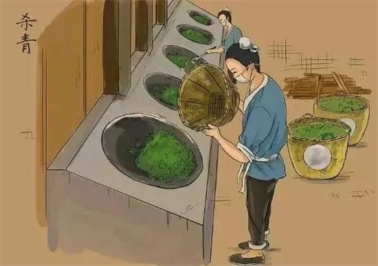 制茶八步驟，制茶工藝流程圖
