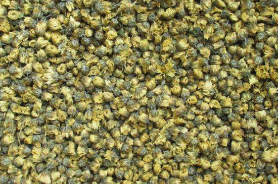 菊花茶大朵小朵有什么區(qū)別，菊花喝大朵還是小朵？