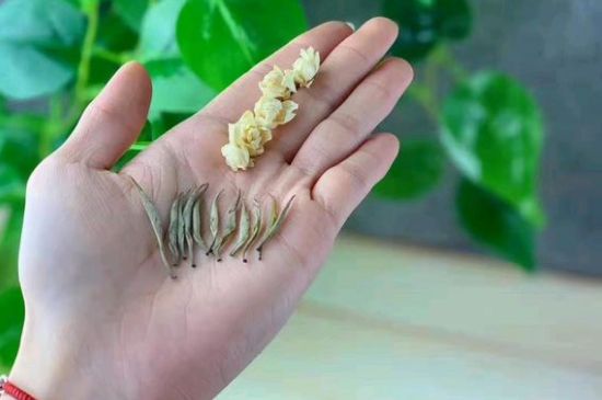 茉莉銀針口感，茉莉銀針是什么味道？