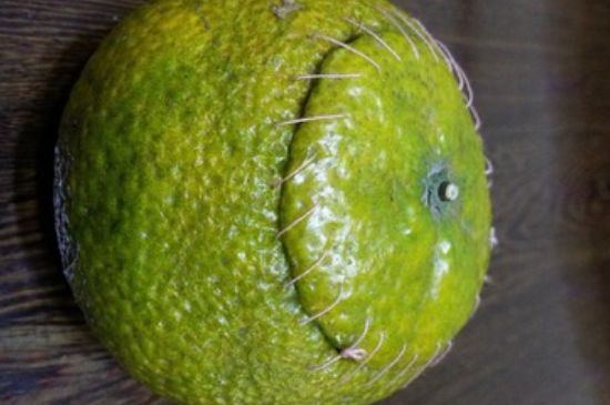 家庭自制柑普茶方法，小青柑制作9個(gè)步驟竅門(mén)（圖片）