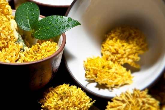 孕婦可以喝菊花茶嗎，菊花對(duì)胎兒有致畸作用？