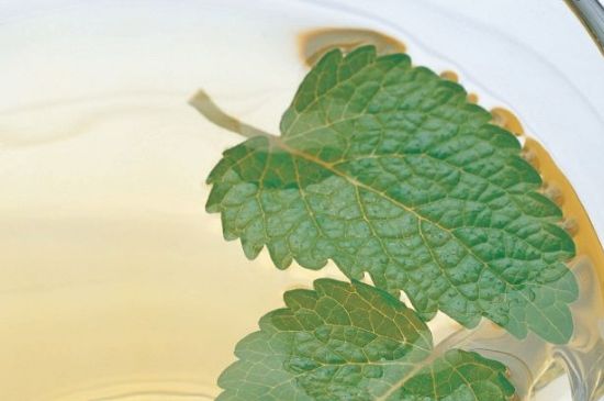 薄荷葉茶怎么制作，薄荷如何做成干茶葉