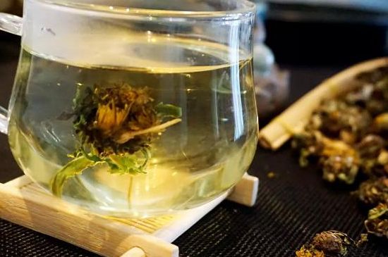 蒲公英最佳搭配，蒲公英茶和什么搭配泡水最佳