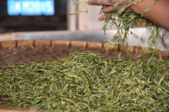 炒青綠茶與綠茶的區(qū)別，烘青和炒青哪個(gè)好喝？