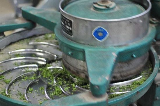 武夷巖茶的初制、精制加工工藝詳細(xì)講解
