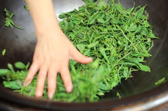 炒青綠茶與綠茶的區(qū)別，烘青和炒青哪個(gè)好喝？