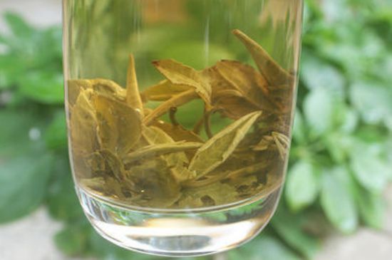 茉莉龍珠泡開后為什么都是梗，茉莉龍珠泡開后什么樣？