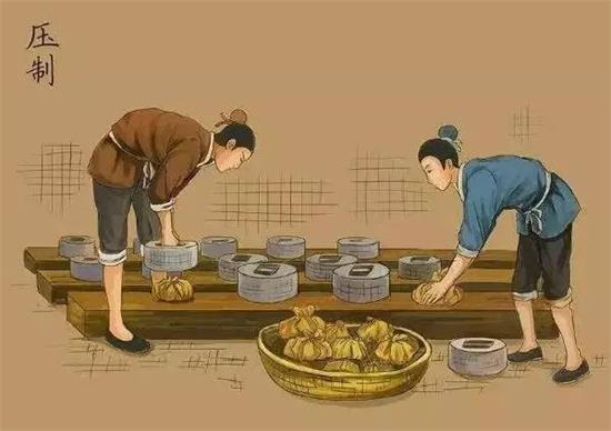 制茶八步驟，制茶工藝流程圖