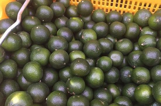 家庭自制柑普茶方法，小青柑制作9個(gè)步驟竅門(mén)（圖片）