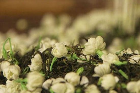 蒸茶器可以蒸花茶嗎，蒸茶器能用來蒸茉莉花茶嗎？