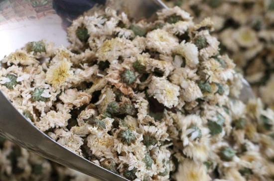 菊花茶買小朵還是大朵，泡茶用的小菊花和大菊花哪個(gè)好