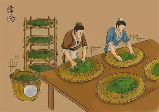 制茶八步驟，制茶工藝流程圖