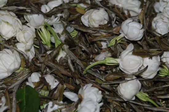 茉莉龍珠怎么做的，茉莉龍珠的制作工藝