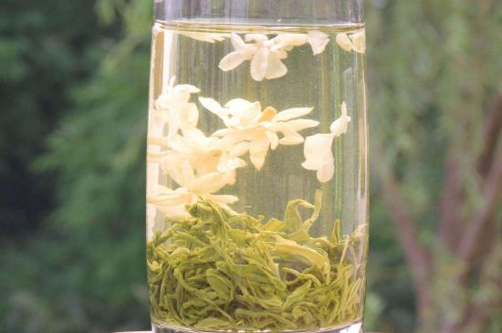 茉莉龍珠可以和什么一起泡茶，茉莉龍珠茶能加蜂蜜嗎？