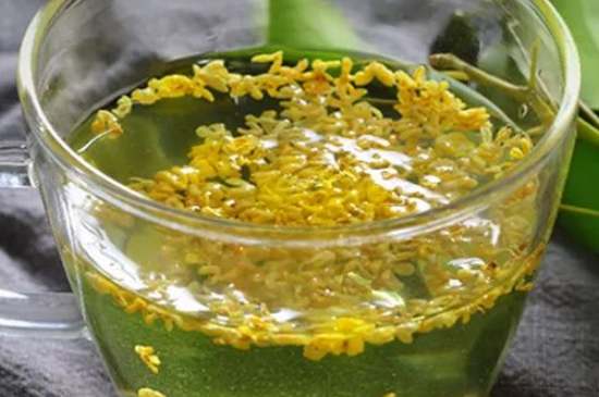 茉莉茶一次泡幾朵，茉莉茶放多少