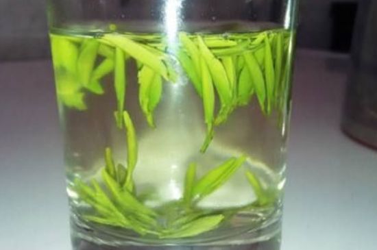 翠眉是什么茶，適合什么時候喝