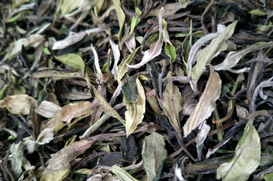 福鼎白茶貢眉和壽眉的區(qū)別，壽眉與貢眉有什么區(qū)別