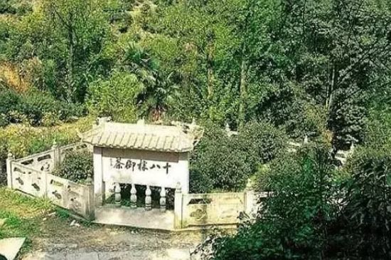 母樹大紅袍給誰喝了，為什么母樹大紅袍叫三棵六株？