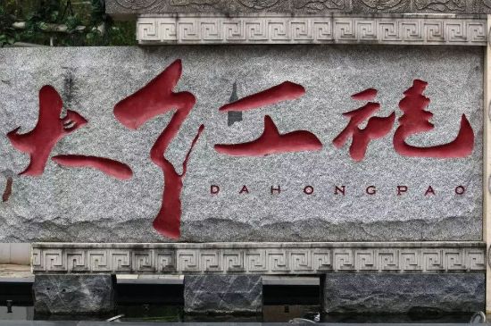 母樹大紅袍給誰喝了，為什么母樹大紅袍叫三棵六株？