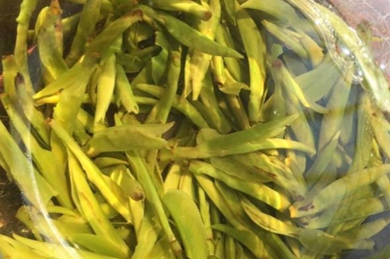 龍井是明前的好還是雨前的好，明前茶和雨前茶哪個(gè)好喝？