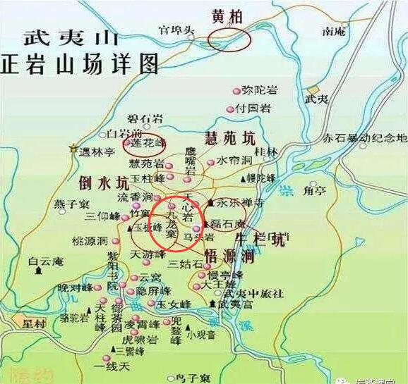 母樹大紅袍給誰喝了，為什么母樹大紅袍叫三棵六株？