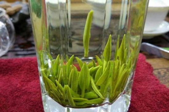 雀舌有一股青草味，雀舌為什么有青草味？