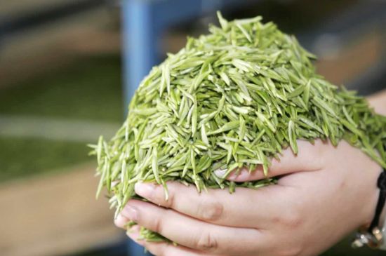 高山云霧茶屬于什么茶，高山云霧茶哪里的最好