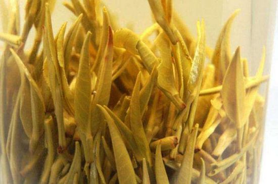 黃茶不適合哪些人喝，黃茶的功效與作用禁忌