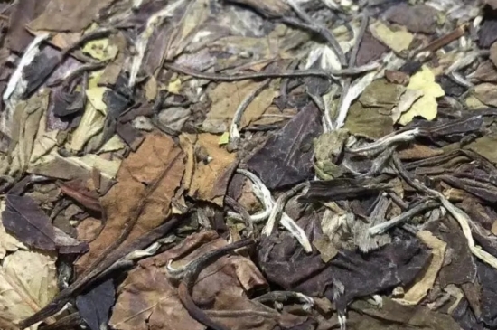 老白茶上火還是去火？夏季喝煮的老白茶會容易上火！