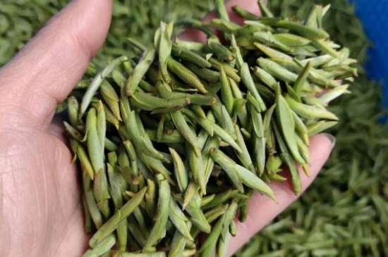 龍井茶好壞的鑒別圖片，如何區(qū)別龍井茶的好壞？