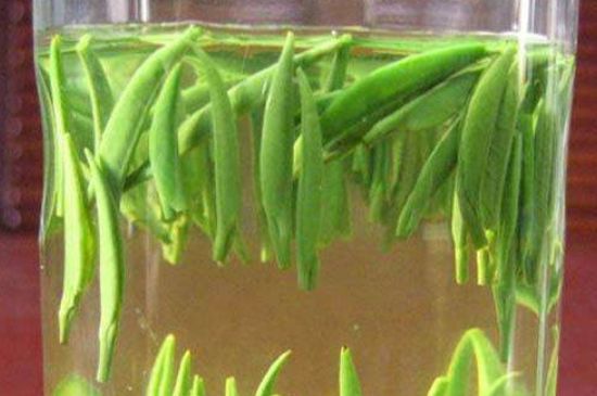 竹葉青和毛尖的區(qū)別，毛尖和竹葉青怎么分辨？