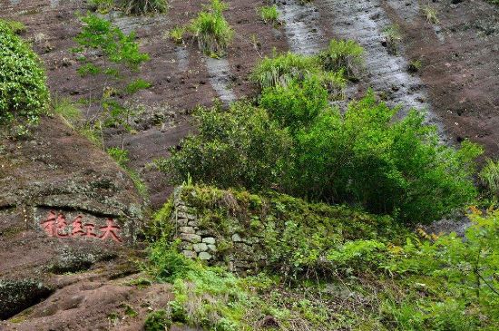 武夷巖茶大紅袍，喝起來是什么味道？