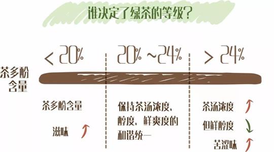 什么綠茶口味重口感濃郁，口味比較重的綠茶都有那些？
