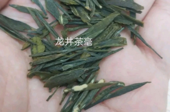 西湖龍井茶毫和發(fā)霉區(qū)別圖片，長霉的龍井茶葉會是什么樣？