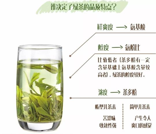 什么綠茶口味重口感濃郁，口味比較重的綠茶都有那些？