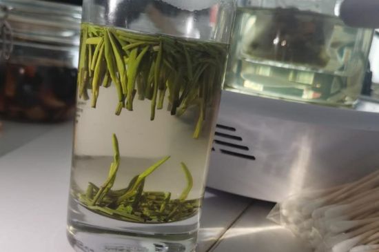 金壇雀舌算不算好茶，金壇雀舌屬于什么檔次茶葉？