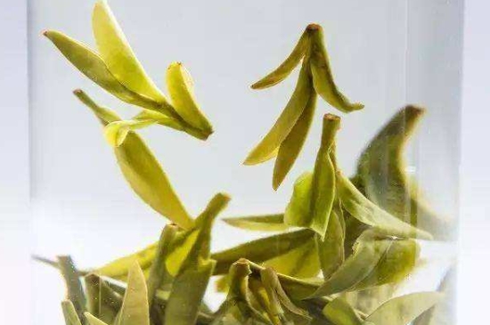 烏牛早和龍井的區(qū)別圖片，龍井43號和烏牛早茶的對比