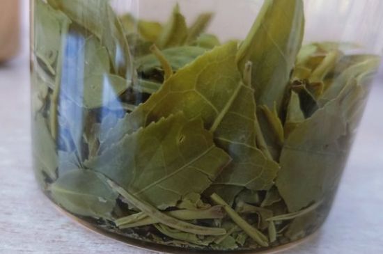 綠茶陳茶和新茶區(qū)別，綠茶怎樣區(qū)分新茶和陳茶