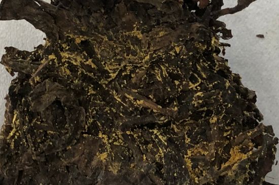 怎么知道涇渭茯茶是否變質(zhì)，茯磚茶金花和發(fā)霉的區(qū)別