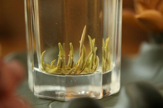 踏雪蘭妃是什么茶，踏雪蘭妃是哪里的茶葉?