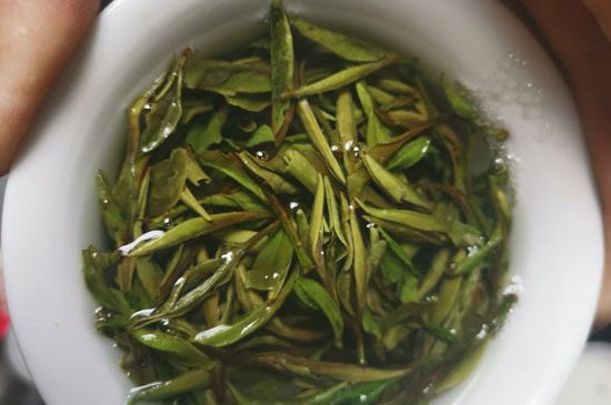 什么人不能喝白茶，白茶不宜什么人喝？