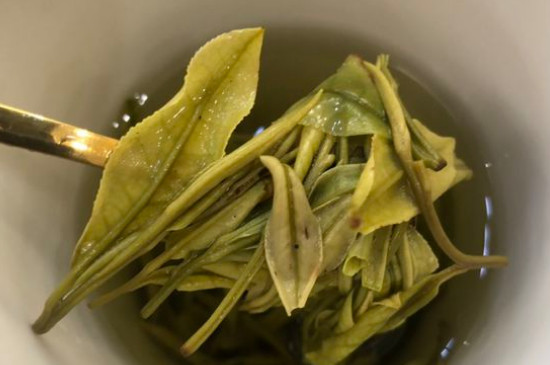 新舊白茶怎么區(qū)分，怎么分辨白茶是新還是舊