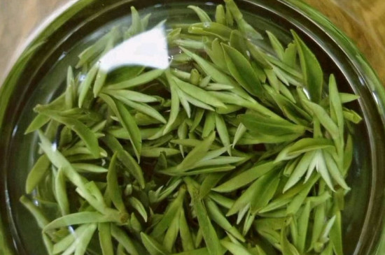 什么綠茶茶葉唇齒留香，哪個(gè)品種綠茶香氣好？