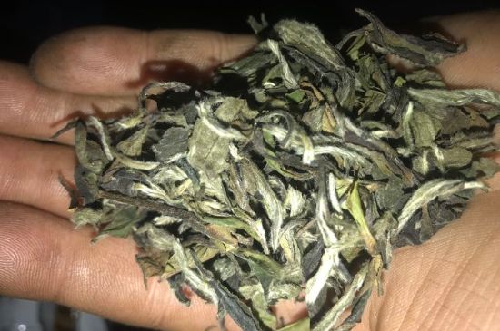 7年壽眉和2年白牡丹哪個好，老白茶壽眉與白牡丹的口感區(qū)別